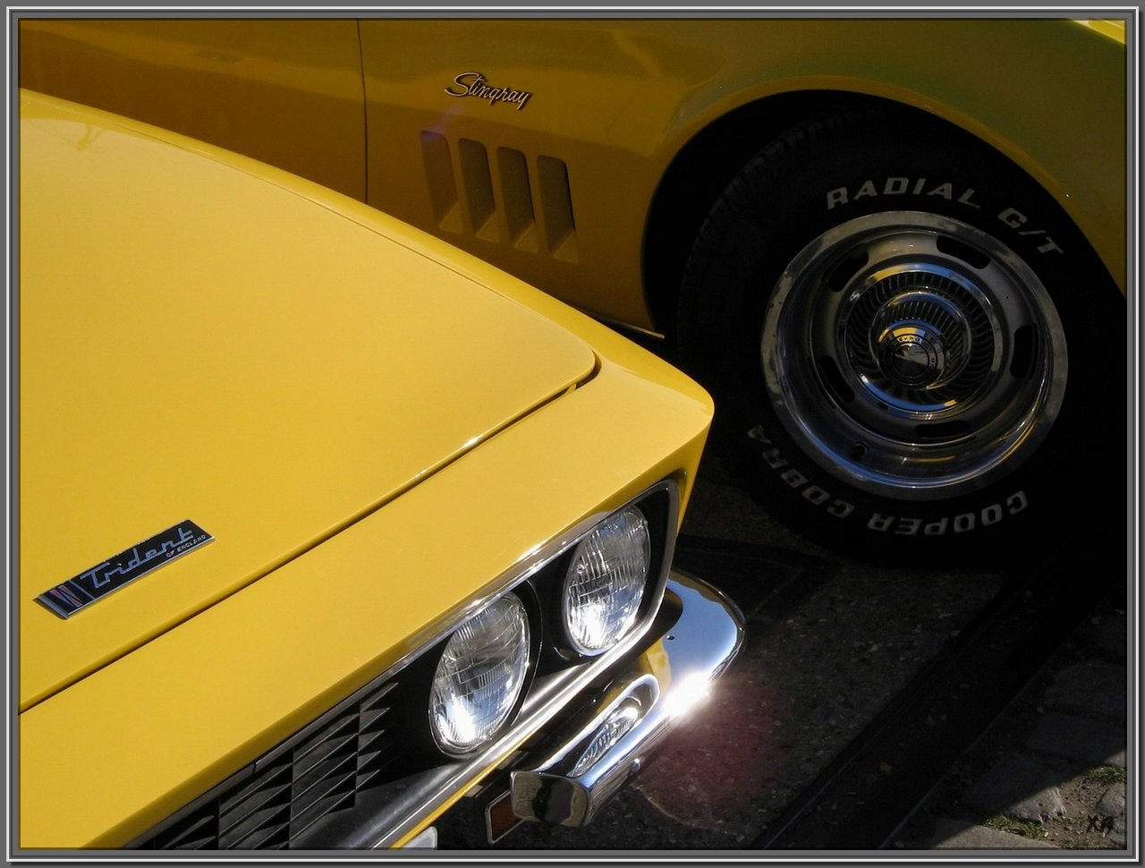 Vette-4.jpg